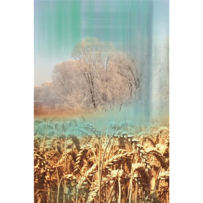 Kreative Naturlandschaft - Leinwandakquarelle