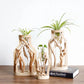 Kreative Holzvase Dekorierter Solides Holz Blumentopf für Glas-Hydrokultur Heim Dekorative Vase Tischplatte Heimdekoration