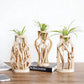 Kreative Holzvase Dekorierter Solides Holz Blumentopf für Glas-Hydrokultur Heim Dekorative Vase Tischplatte Heimdekoration