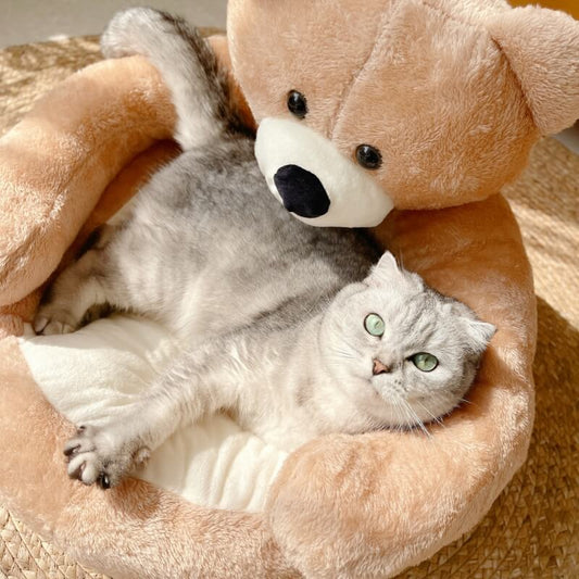 Süßes abnehmbares Kuschelbär-Katzenbett