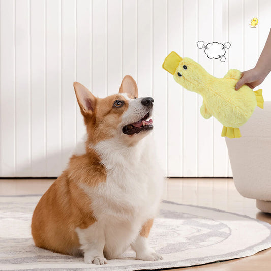 Niedliches Entenplüschtier mit Quietscher Hundekauspielzeug