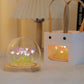 DIY Glas Tulpen Globus Lampe