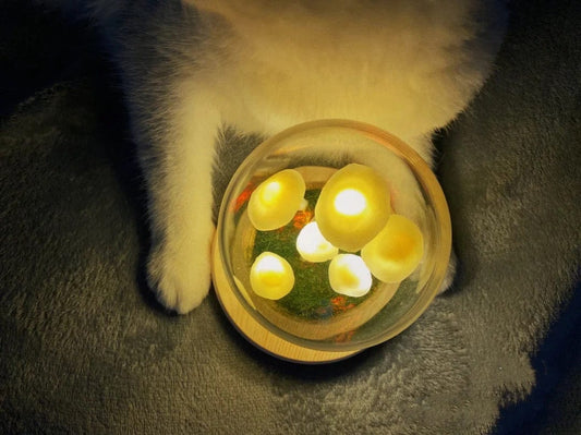 Frendorf | Bezaubernde DIY-Pilz-Lampe für Heimdekoration