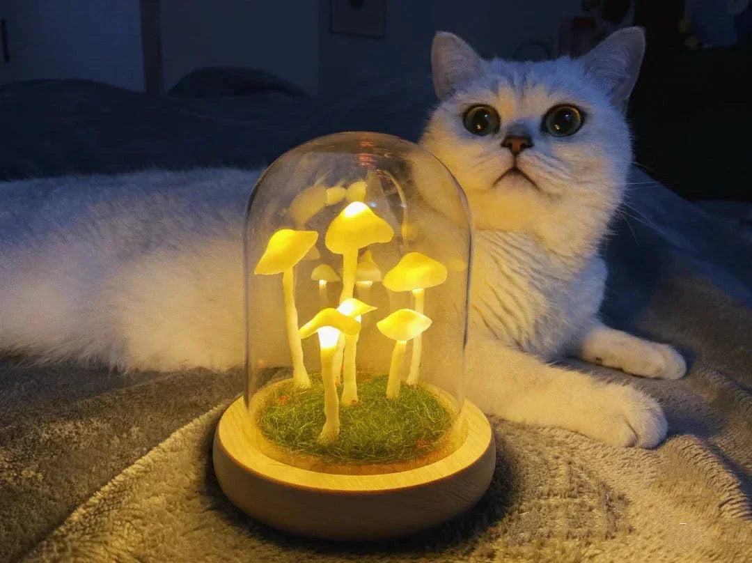 Frendorf | Bezaubernde DIY-Pilz-Lampe für Heimdekoration