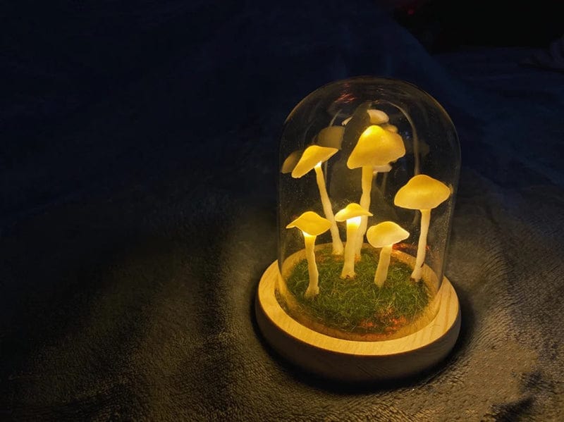 Frendorf | Bezaubernde DIY-Pilz-Lampe für Heimdekoration