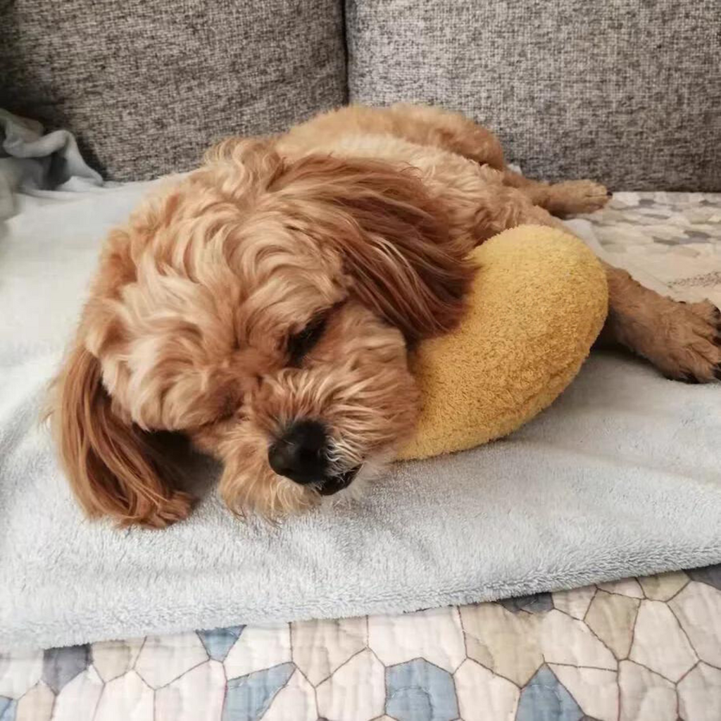 Frendorf | Beruhigendes Haustier-Kissen