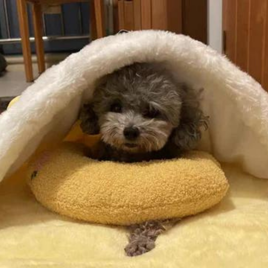 Frendorf | Beruhigendes Haustier-Kissen