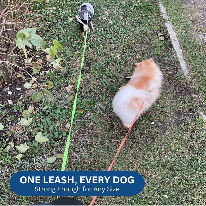 Frendorf | 10FT Dual Retractable Hundeleine mit eingebauter Taschenlampe & Abfallbeutelhalter