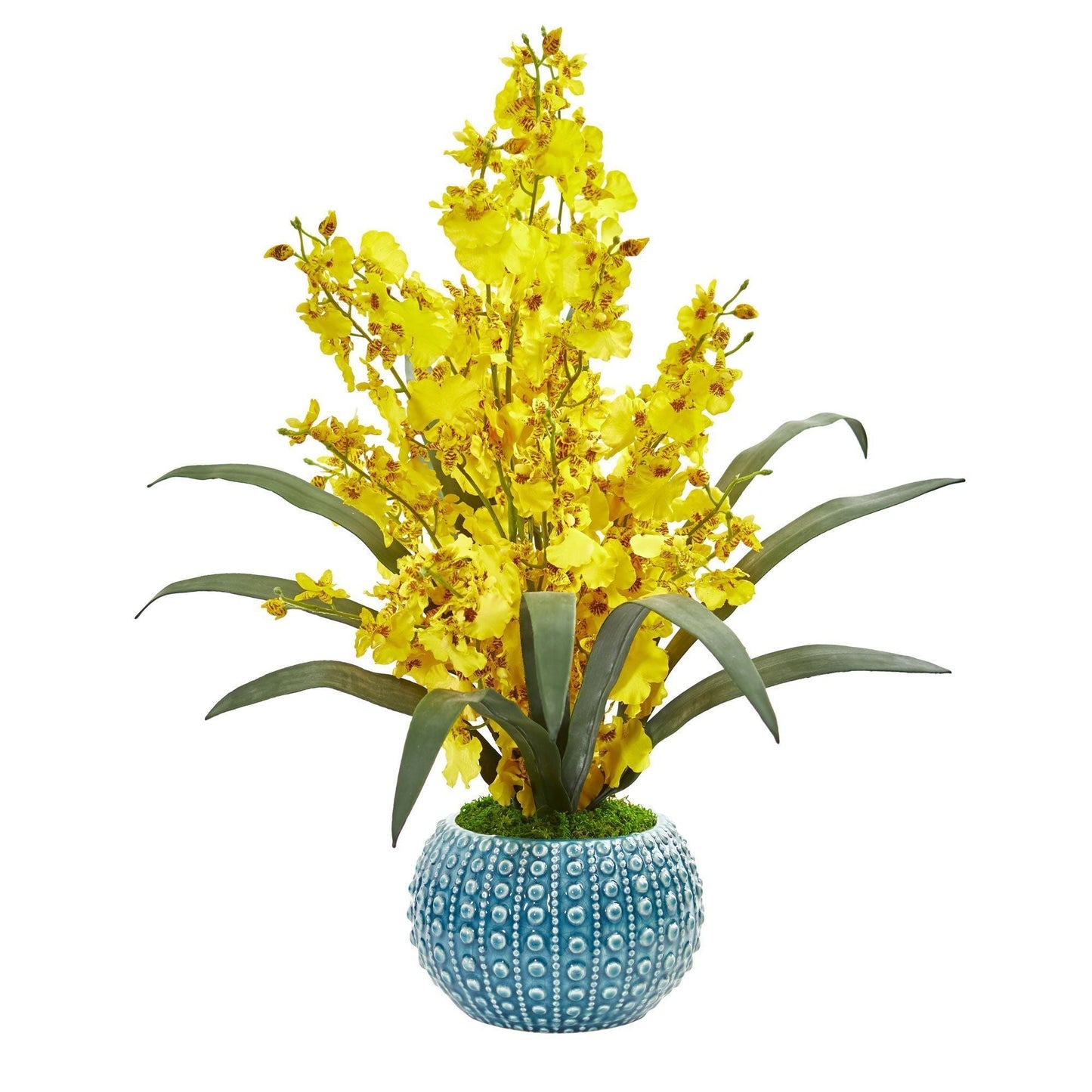Tanzende Dame Orchidee Künstliche Anordnung in Blauer Vase