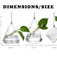 Frendorf | GlasLuxe 3-teiliges Set Glas-Hänge-Terrarienvasen | Elegante Pflanzenhalter | Deko für Zuhause