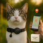 Frendorf | Katzen GPS Tracker Halsband | Schnellverschluss, reflektierendes Design & strapazierfähig für Outdoor-Sicherheitsabenteuer