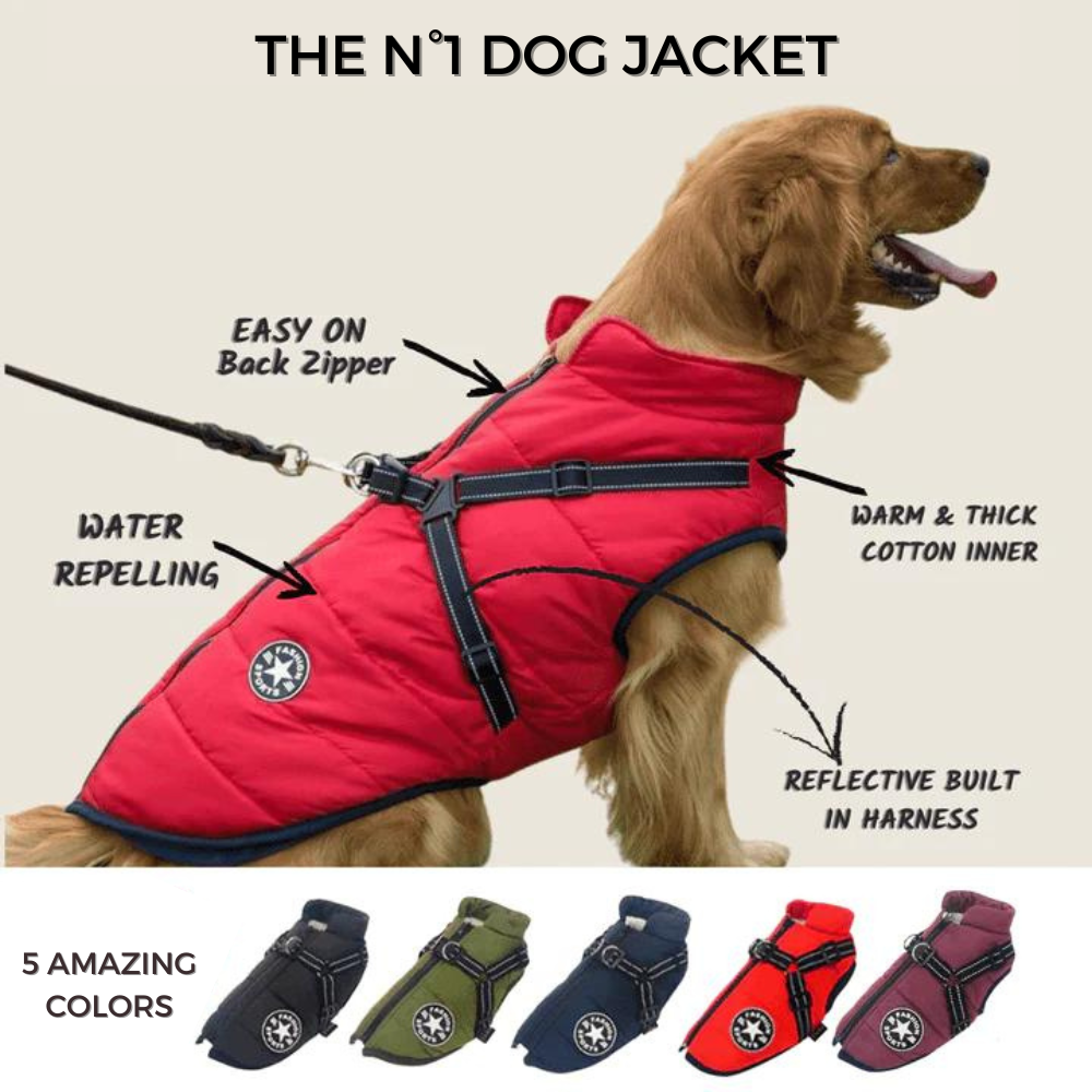 Frendorf | DoggyKönig 3 in 1 Jacket