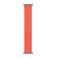 Frerndorf | Nylon Einzel-Dreh Geflochtenes Uhrenarmband Für Apple Watch Series 7 41mm / 6 & SE & 5 & 4 40mm / 3 & 2 & 1 38mm, Länge:M 145mm (Elektrisches Orange)