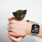 Frerndorf | Leder Messer Uhr Band für Apple Watch Ultra 49mm&Watch Ultra 2 49mm / Series 9&8&7 45mm / SE 3&SE 2&6&SE&5&4 44mm / 3&2&1 42mm(Grau)