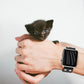 Frerndorf | Leder Messer Uhr Band Für Apple Watch Ultra 49mm&Watch Ultra 2 49mm / Series 9&8&7 45mm / SE 3&SE 2&6&SE&5&4 44mm / 3&2&1 42mm(Schwarz)