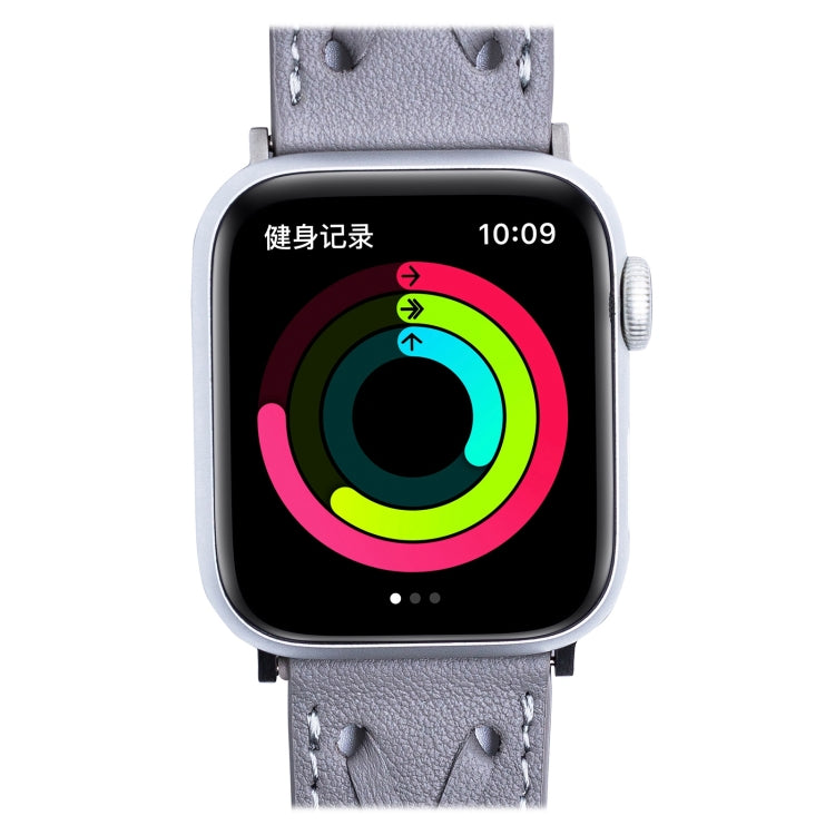 Frerndorf | Echtes Leder Geflochtenes Uhrenarmband Für Apple Watch Series 9&8&7 41mm / SE 3&SE 2&6&SE&5&4 40mm / 3&2&1 38mm(Grau)