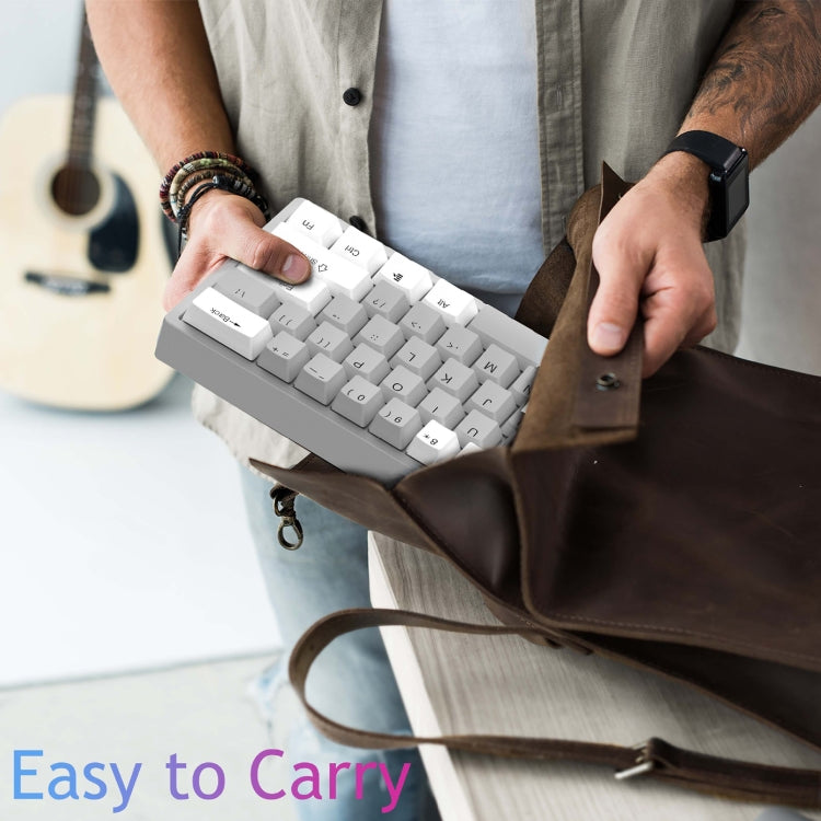 Frendorf | AULA F3261 Type-C Verdrahtete Hot Swappable 61 Tasten RGB Mechanische Tastatur (Schwarz Grau Tee Schaft)