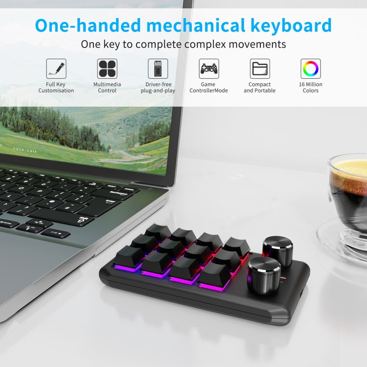 Frendorf | Bluetooth Wireless 12KV2 MOLD Mini Mechanical 12 Tasten 2 Regler Benutzerdefinierte Programmierung Tastatur (Schwarz)
