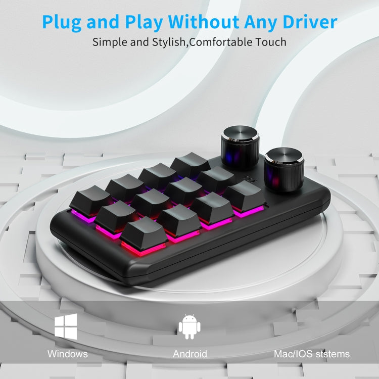 Frendorf | Bluetooth Wireless 12KV2 MOLD Mini Mechanical 12 Tasten 2 Regler Benutzerdefinierte Programmierung Tastatur (Schwarz)