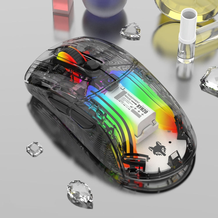 Frendorf | XUNFOX XYH20RGB 2.4G + BT + Wired Transparent 2400DPI RGB Licht Gaming Maus (Schwarz)