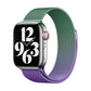 Frendorf | Für Apple Watch SE 2023 40mm Milan Gradient Loop Magnetverschluss Armband (Violet Orchid)