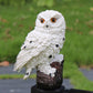 Frendorf | Outdoor Uhu Statue LED Solar Gartenlicht Wasserdichte Rasenlampe