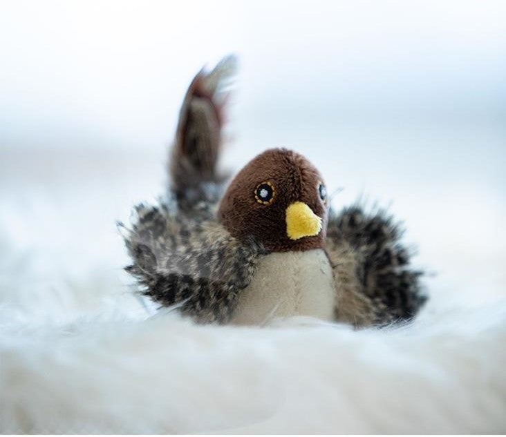 Frendorf | Eindeloos Speelplezier voor Je Kat: Ontdek het Zingende Vogel Vriend Kat Speelgoed!