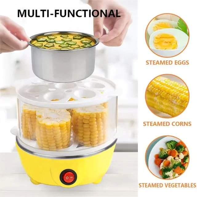 Frendorf | Elektrischer Boiler / Dampfgarer