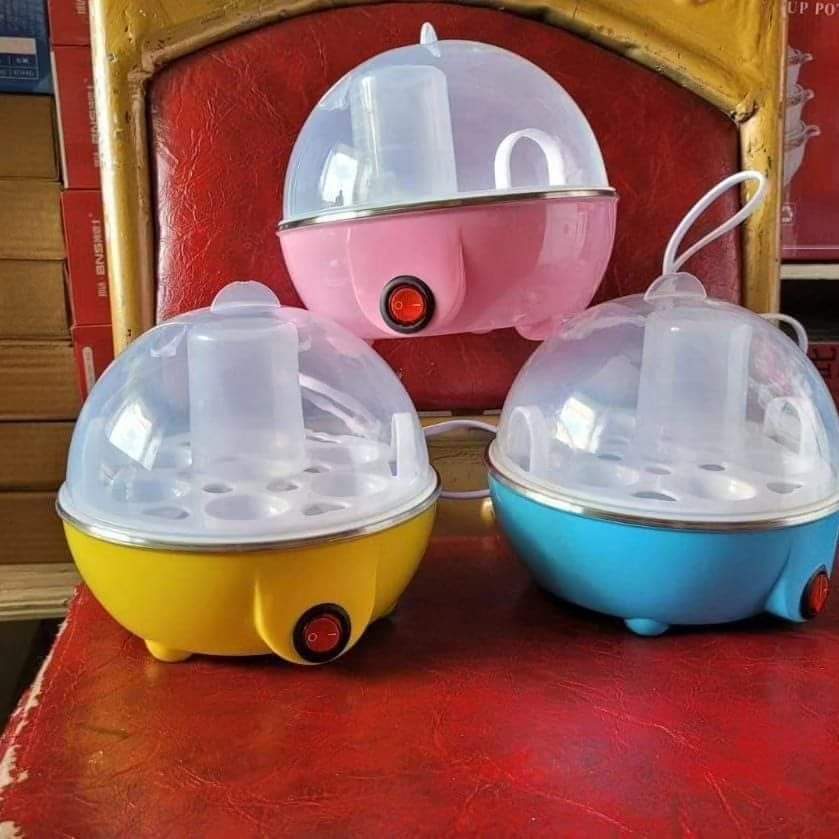 Frendorf | Elektrischer Boiler / Dampfgarer