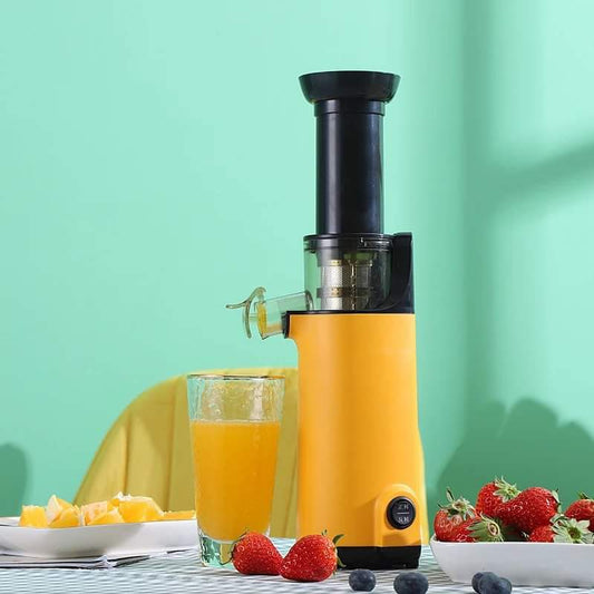 Frendorf | Langsame Entsafter Mixer