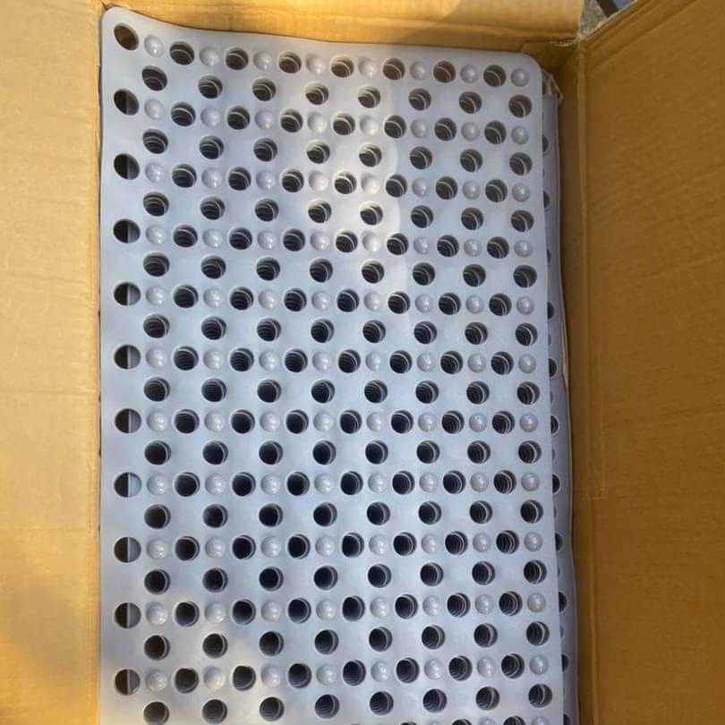 Frendorf | Badezimmer Ant Rutschmatte