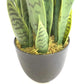 Frendorf | Echter Touch Gelbe Sansevieria