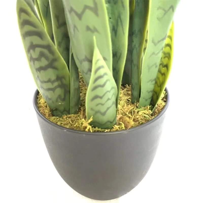 Frendorf | Echter Touch Gelbe Sansevieria