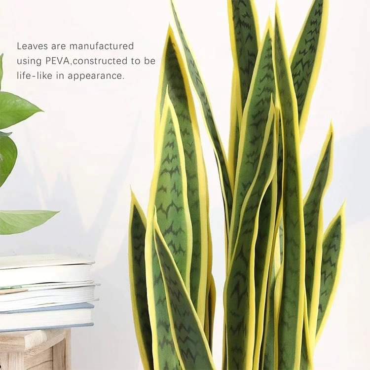 Frendorf | Echter Touch Gelbe Sansevieria