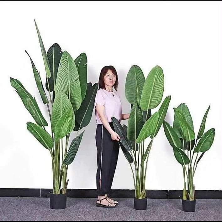 Frendorf | Künstliche Bananenpflanze 1,6 m