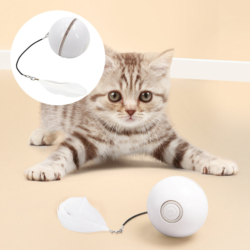 Frendorf | Automatisch geführter, intelligenter Katzenball