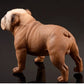 Mode 1Stk Beige/Braun British Bulldog Modell Französisch Englisch Bulldog Harz Simulation Hundeskulptur Spielzeug für Actionfigur