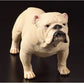 Mode 1Stk Beige/Braun British Bulldog Modell Französisch Englisch Bulldog Harz Simulation Hundeskulptur Spielzeug für Actionfigur