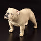 Mode 1Stk Beige/Braun British Bulldog Modell Französisch Englisch Bulldog Harz Simulation Hundeskulptur Spielzeug für Actionfigur