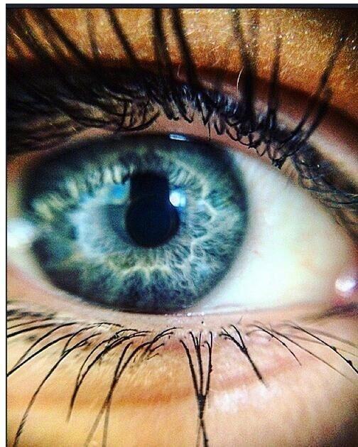 Frendorf | 3 in 1 Telefonobjektiv-Kit