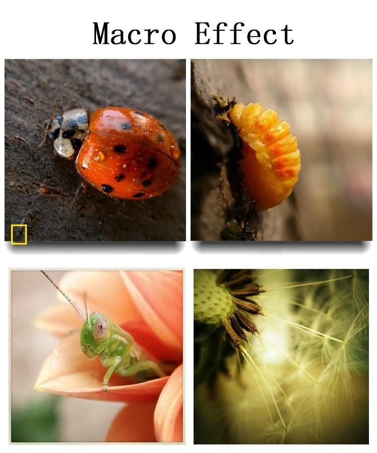 Frendorf | 3 in 1 Telefonobjektiv-Kit