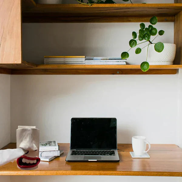 Frendorf | Lustiger Taschentuchboxhalter | Handgemachtes Gesicht mit Nasen-Spender | Originelle Wohn- & Bürodekoration