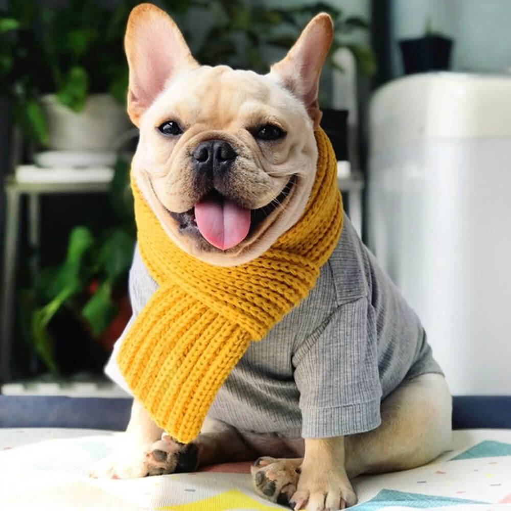 Gemütlicher Strickweicher warmer verstellbarer Sitz Hundeschal