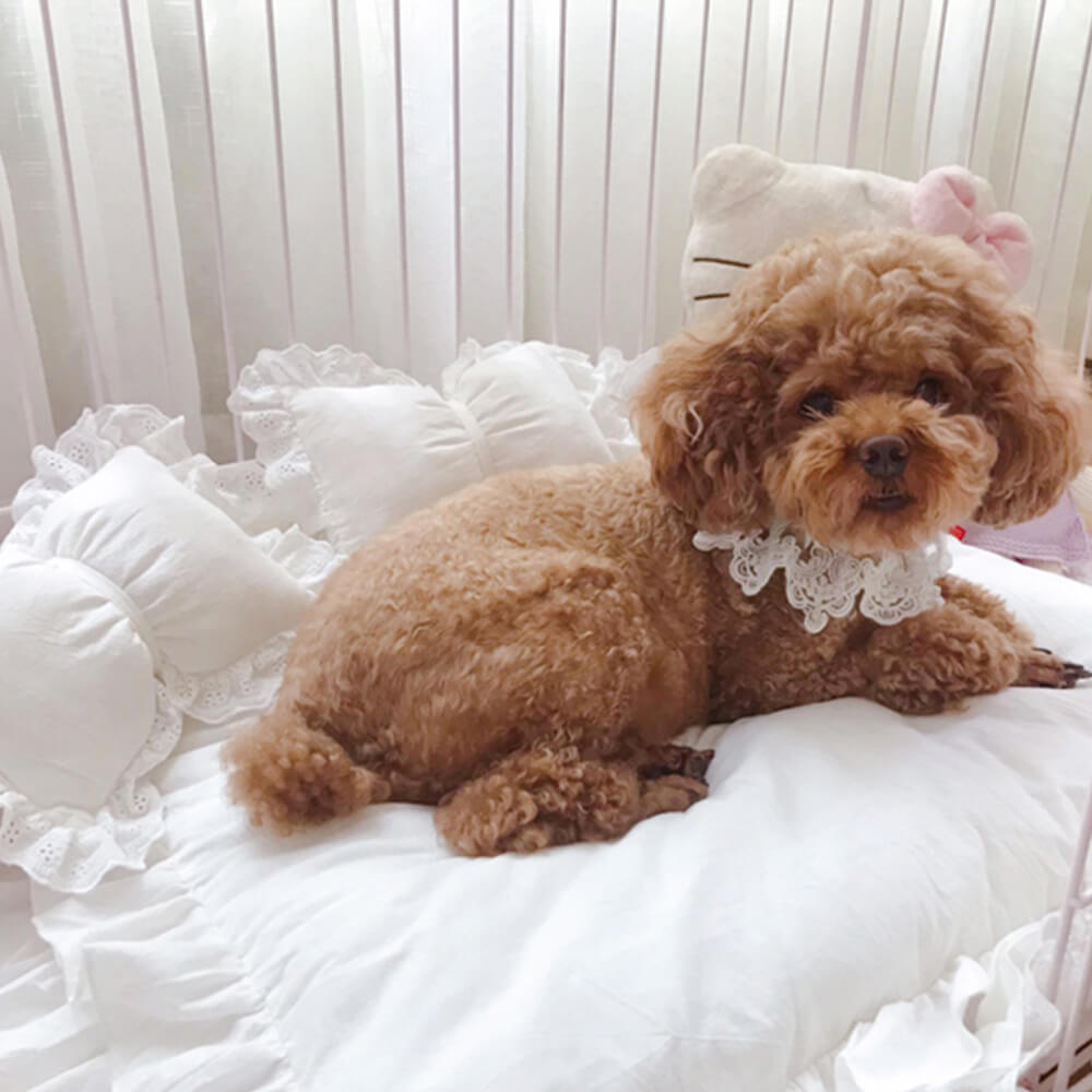 Niedliches Prinzessinnen-Rüschensaum abnehmbares ovales Kissen Hundebett