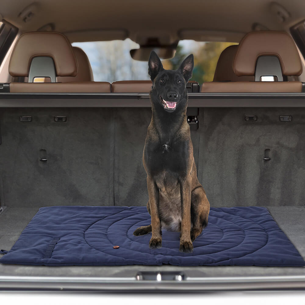 Faltbare wasserdichte tragbare Hund-Auto-Sitzmatte Hund-Campingmatte