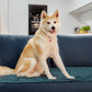 Faltbare wasserdichte tragbare Hund-Auto-Sitzmatte Hund-Campingmatte