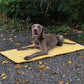 Faltbare wasserdichte tragbare Hund-Auto-Sitzmatte Hund-Campingmatte