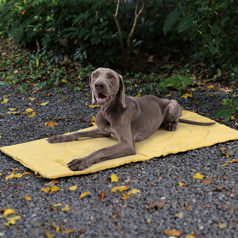 Faltbare wasserdichte tragbare Hund-Auto-Sitzmatte Hund-Campingmatte
