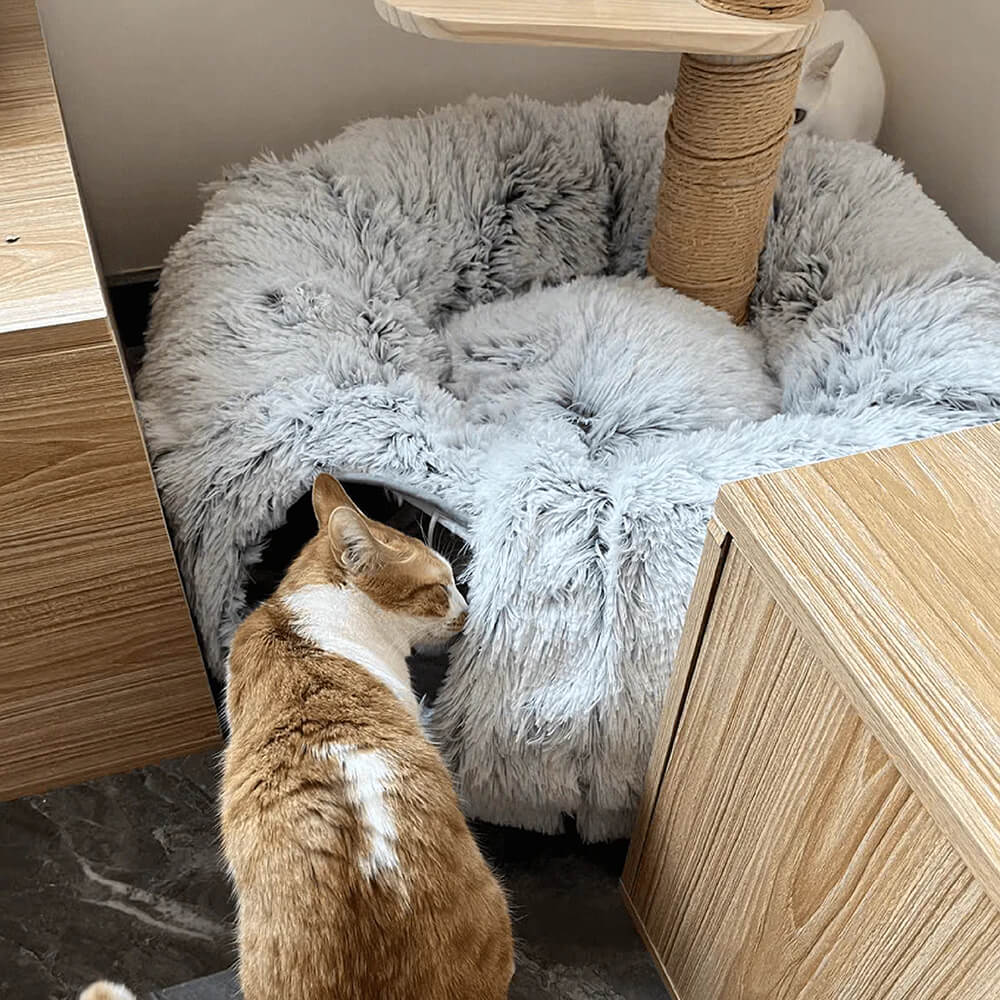 2 in 1 faltbarer Indoor weicher runder Katzen-Tunnel-Bett