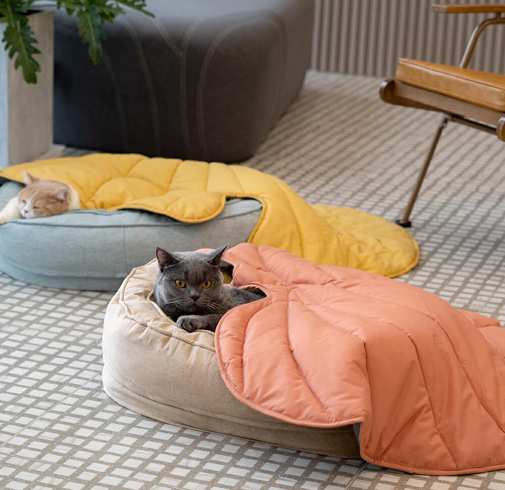 blattförmige hundedecke